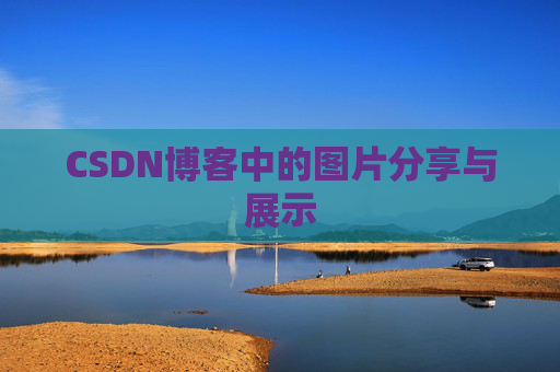 CSDN博客中的图片分享与展示